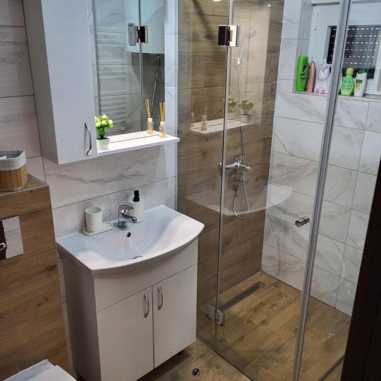 Apartman Adam Divčibare - Apartman sa 1 Spavaćom Sobom - 3