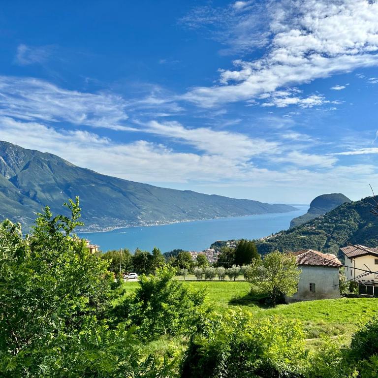 Villa Larici - Villa - 2