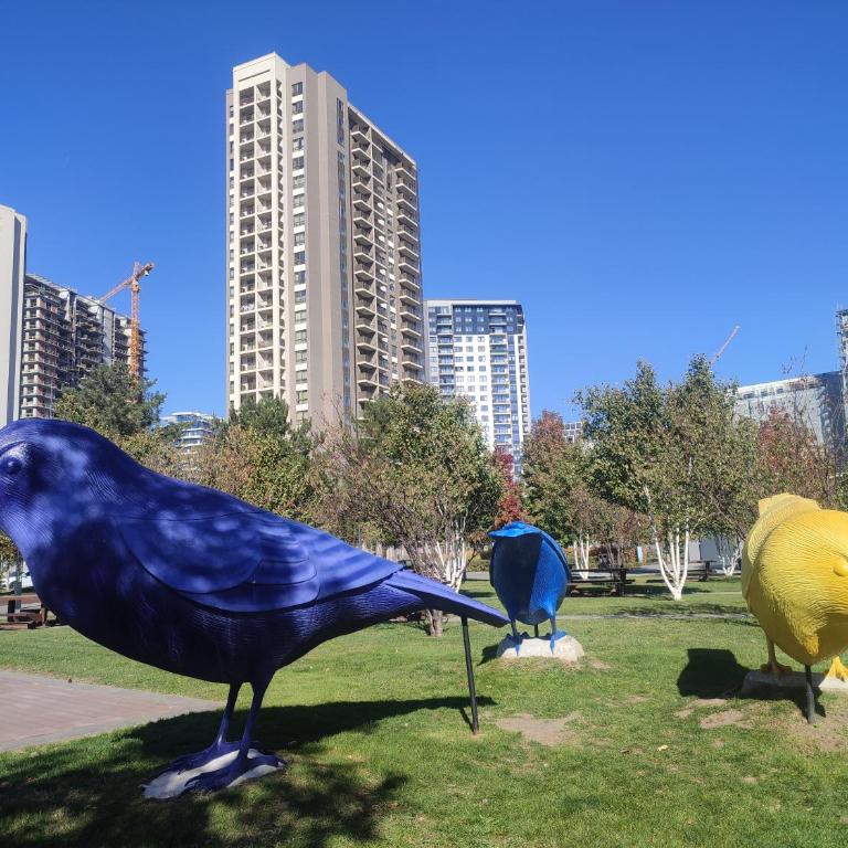 Blue Sparrow, city center studio - Studio - 62