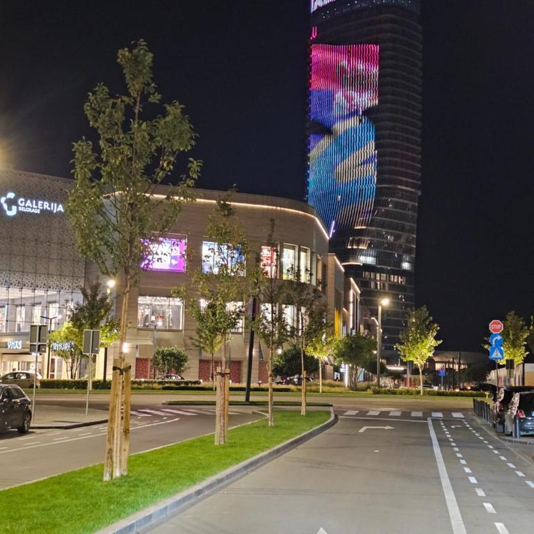 ALPHA LUX - Galerija mall view - Beograd na vodi - Deluks Apartman s 1 Spavaćom Sobom - 66