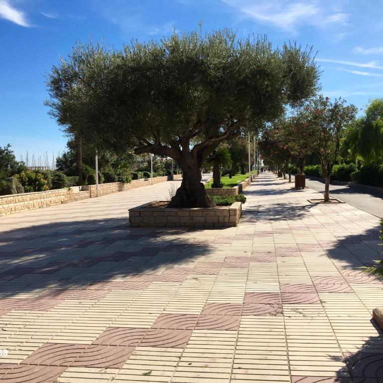 SOL Y PLAYA -Playa Canet de Berenguer-La Almardá Valencia Costa SPAIN - Apartment mit 1 Schlafzimmer - 28