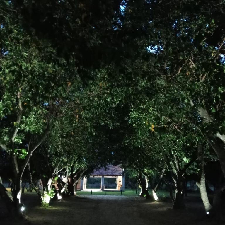 Casa Quinta en Pilar, Ñeembucú - Casa de 2 dormitorios - 31