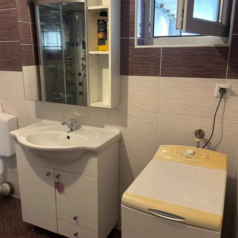 Kovaci Apartments - Apartman sa 1 Spavaćom Sobom - 13