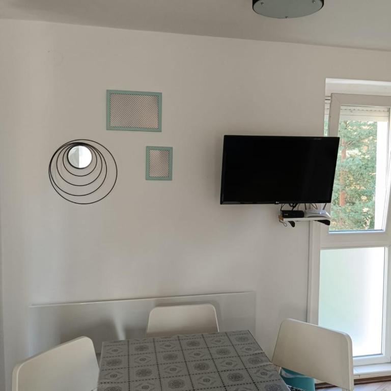 Studio Tara Divčibare - Apartman sa 1 Spavaćom Sobom - 11