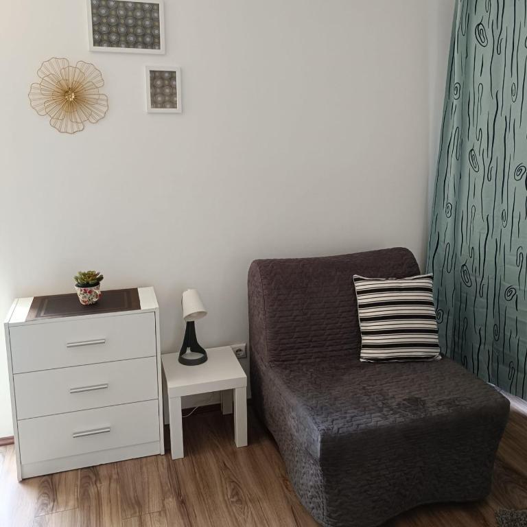 Studio Tara Divčibare - Apartman sa 1 Spavaćom Sobom - 6