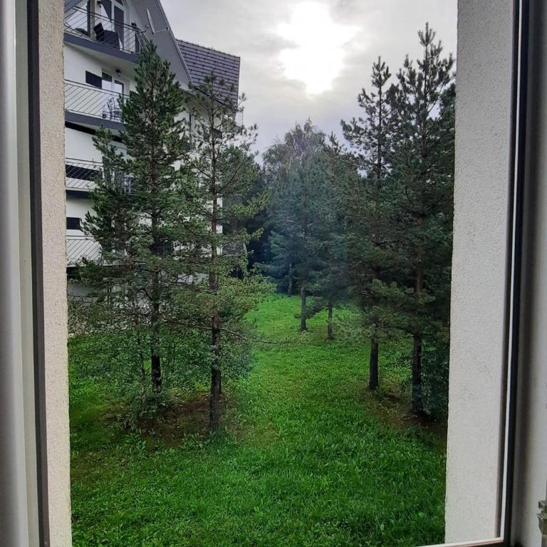 Studio Tara Divčibare - Apartman sa 1 Spavaćom Sobom - 10