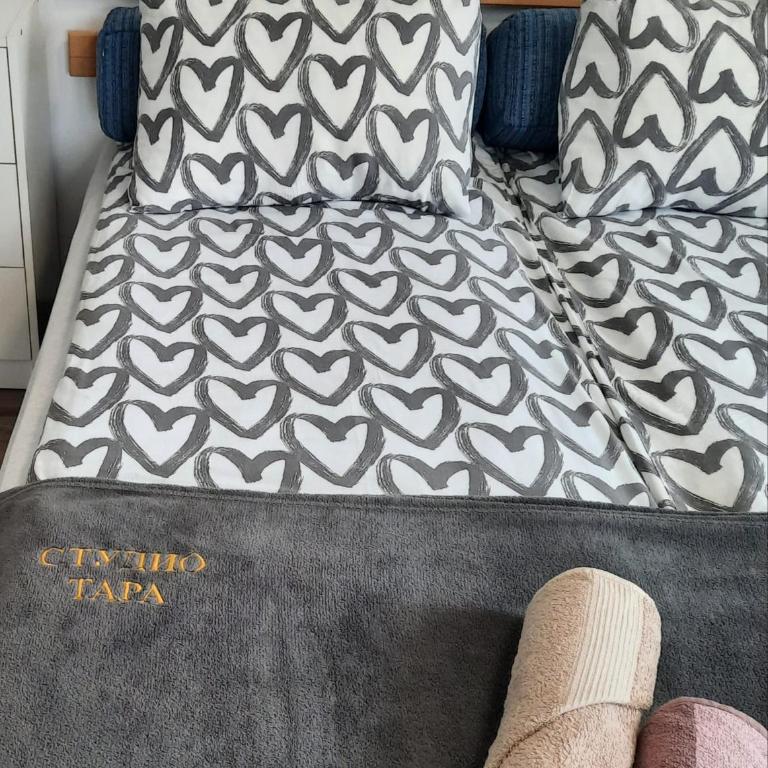 Studio Tara Divčibare - Apartman sa 1 Spavaćom Sobom - 3