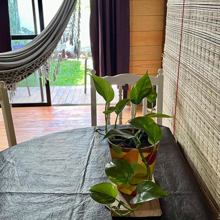 Cabaña soles - One-Bedroom Apartment with Park View - 17