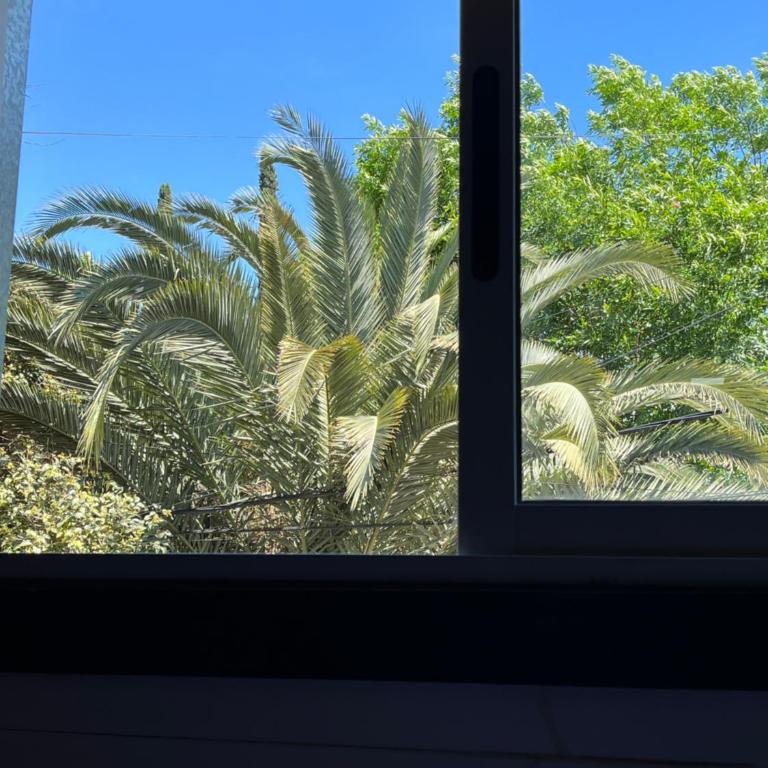 Cabaña soles - One-Bedroom Apartment with Park View - 10