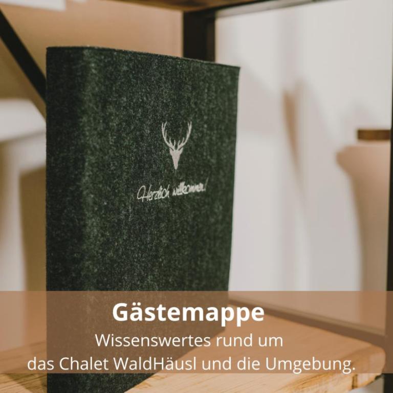 Chalet WaldHäusl luxuriöse Ferienwohnungen mit Sauna & Whirlpool, Kamin, Balkon oder Terrasse mit Bergblick - Superior Apartment - 12