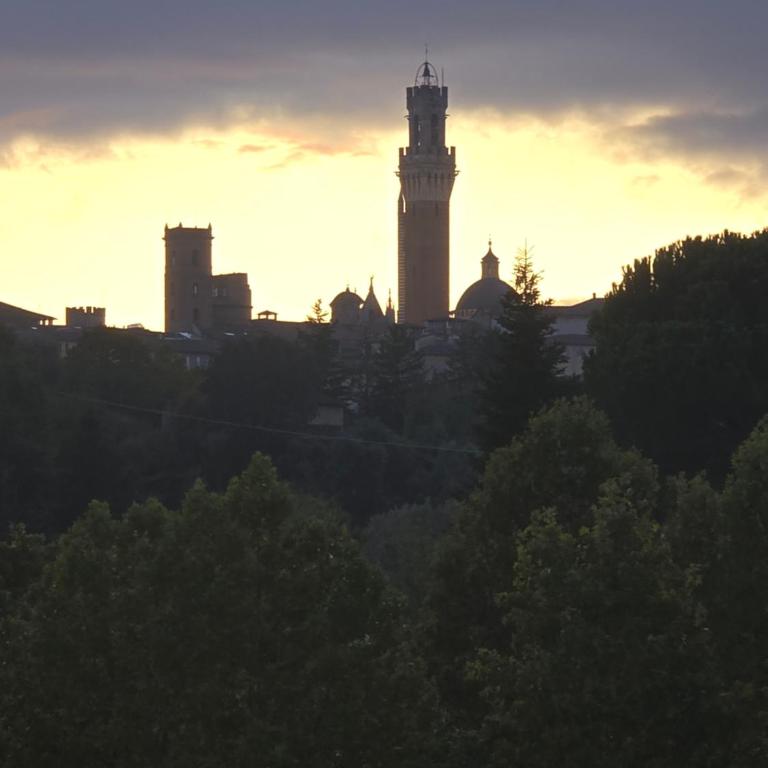 Podere Ponticini - Appartamento con 3 Camere da Letto - 29