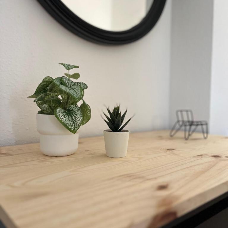 Amplio apartamento en el centro de Málaga con parking privado incluido - Apartamento de 3 dormitorios - 30