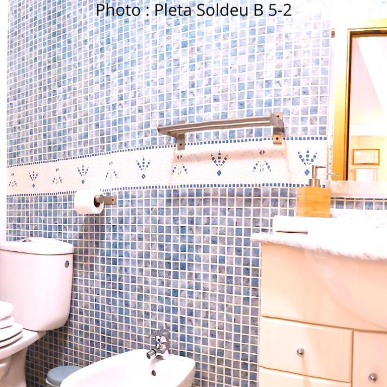 AC Apartaments Pleta Soldeu - Apartment mit 1 Schlafzimmer - 10