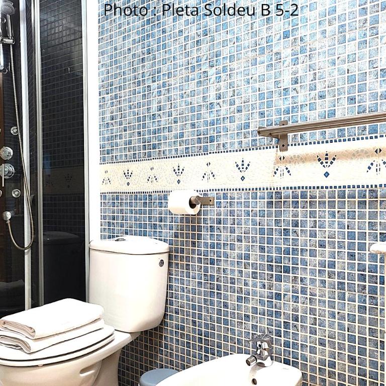 AC Apartaments Pleta Soldeu - Apartment mit 1 Schlafzimmer - 16