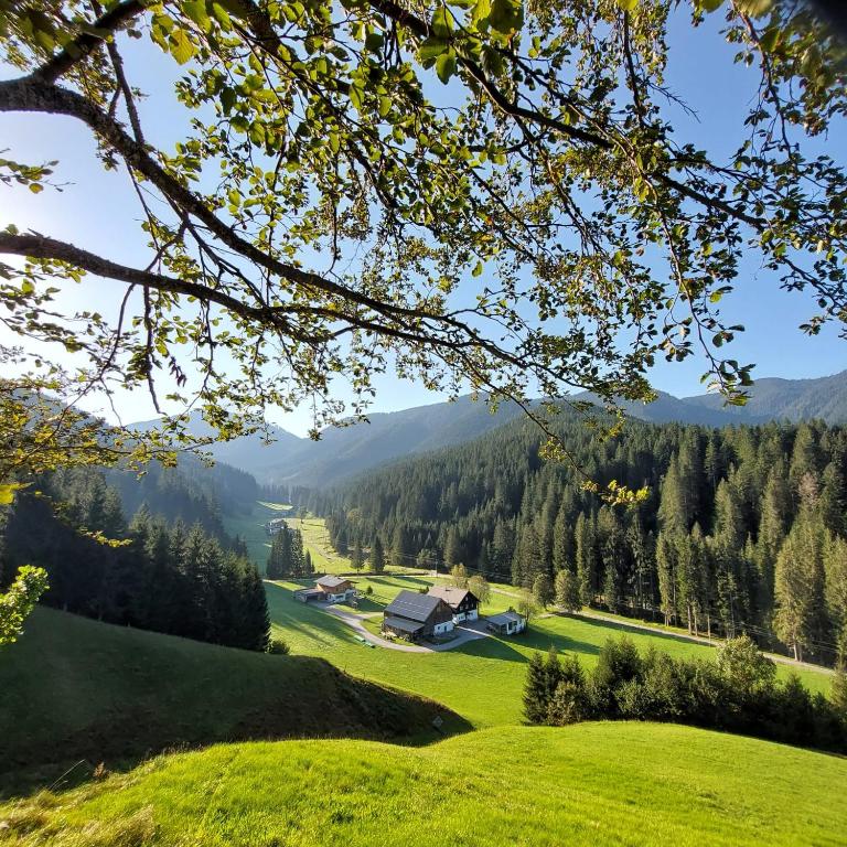 Hütte Neuhaus - Haus mit 1 Schlafzimmer - 15