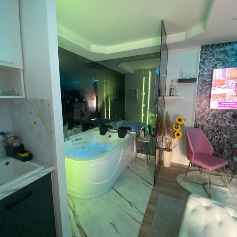 Love spa apartman - Apartman sa 1 Spavaćom Sobom - 1