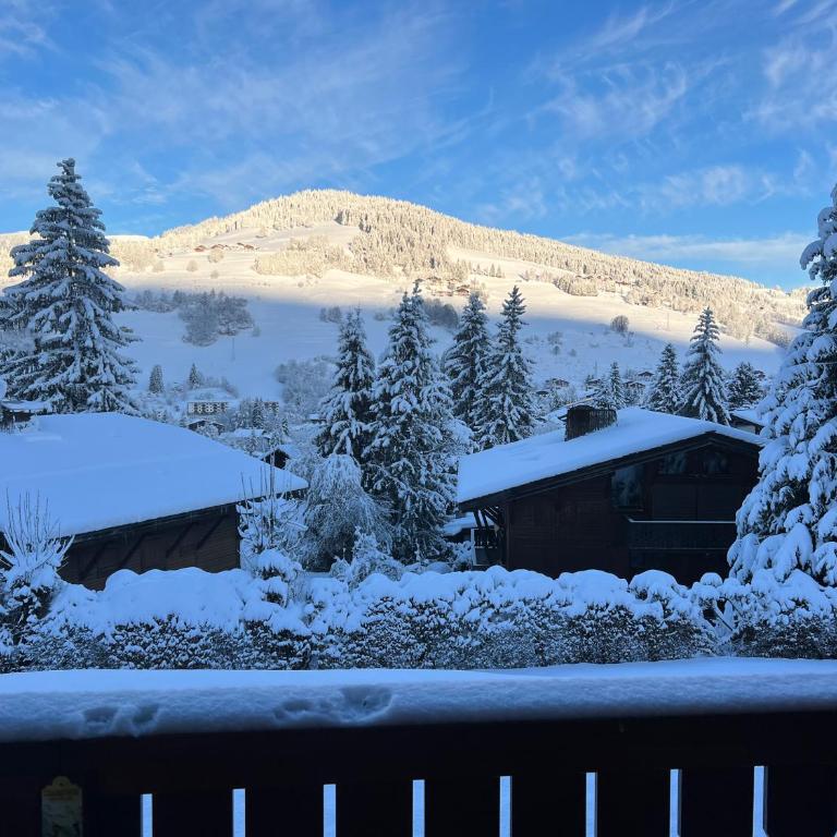 Duplex aux pieds des pistes à Rochebrune - Appartement - 49