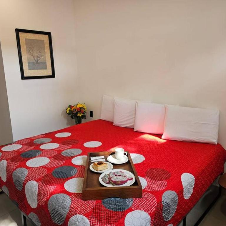 Céntrico Estudio Con Roof Top Zona Romántica 502 - One-Bedroom Apartment - 2