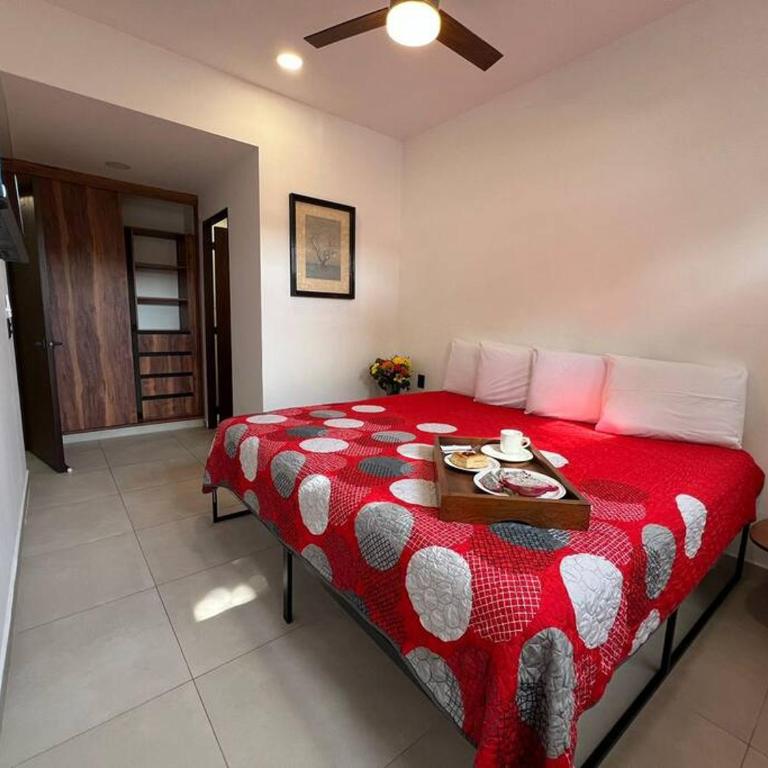 Céntrico Estudio Con Roof Top Zona Romántica 502 - One-Bedroom Apartment - 15