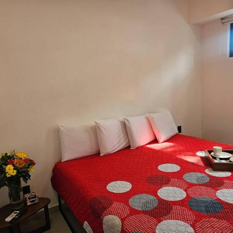 Céntrico Estudio Con Roof Top Zona Romántica 502 - One-Bedroom Apartment - 21