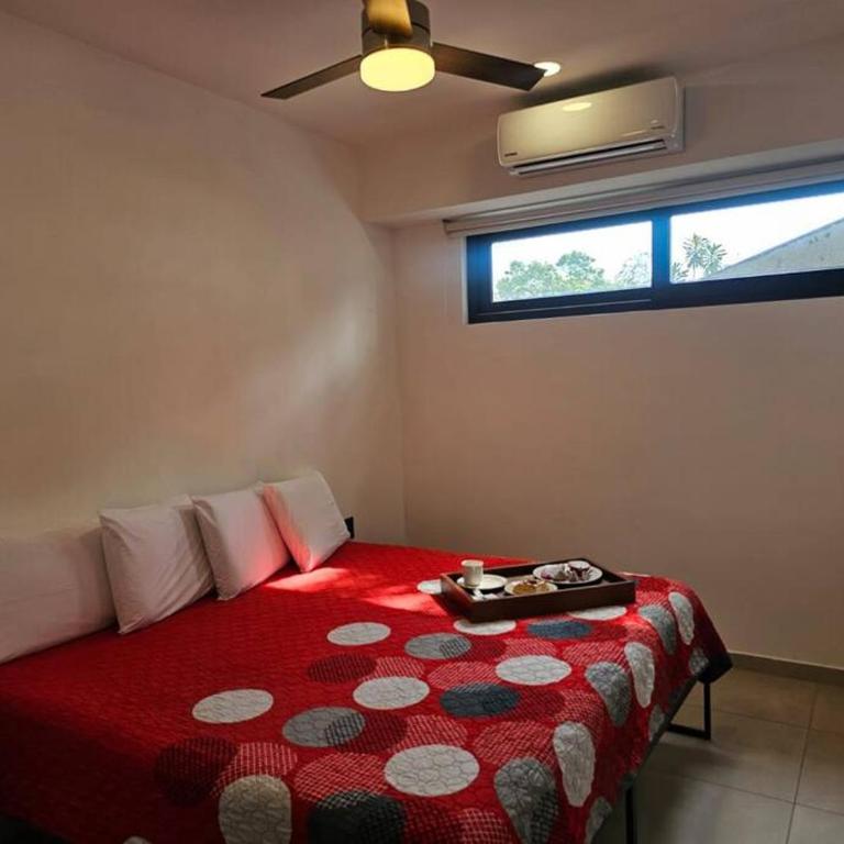 Céntrico Estudio Con Roof Top Zona Romántica 502 - One-Bedroom Apartment - 38