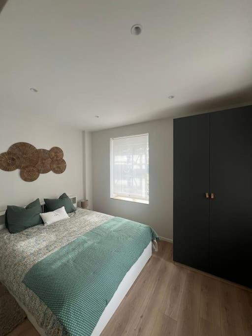 Colmar Centre - Le Schickele - garage privé - climatisé - Appartement 2 Chambres - 45