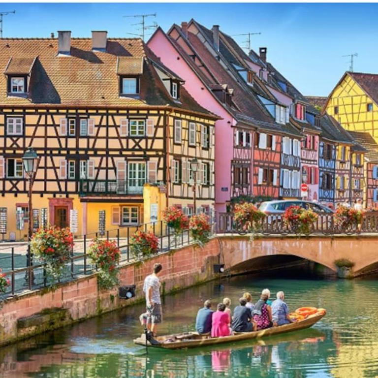 Colmar Centre - Le Schickele - garage privé - climatisé - Appartement 2 Chambres - 60