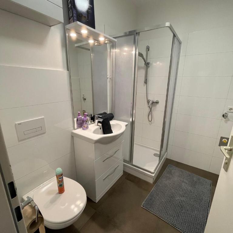 Ferienwohnung Franz - Appartement 1 Chambre - 6