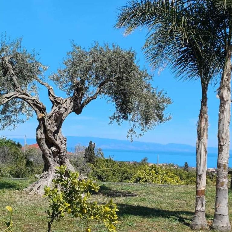 Profumo di Zagara Acireale - Villa con 3 Camere da Letto - 5
