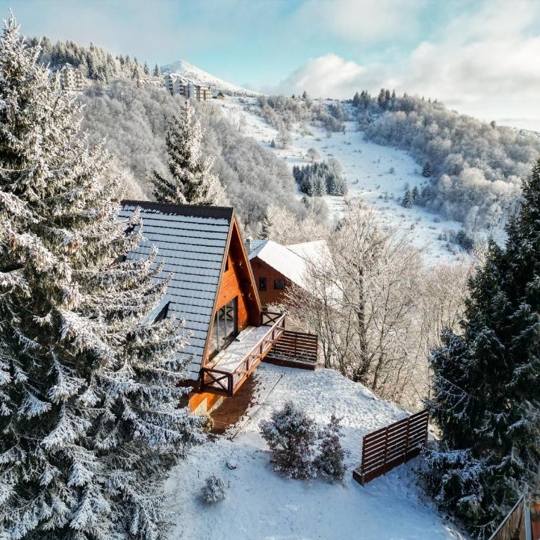 Vista Mountain House - Two-Bedroom Chalet - 15
