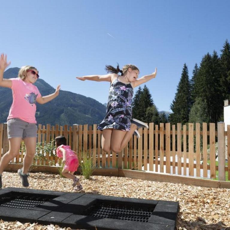 Nationalpark Chalet Hohes Aderl - Casa Vacanze - 22