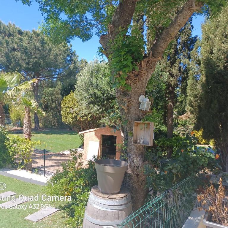 Magnifique villa avec piscine 10x5 m sur 1800m2 de terrain avec parking privatif cuisine recente equpee 3 chambres dont 2 parental au rdc avec wc separe pas de vis à vis terrain de petanque bbq climatisation jeux enfants - Villa mit 3 Schlafzimmern - 6