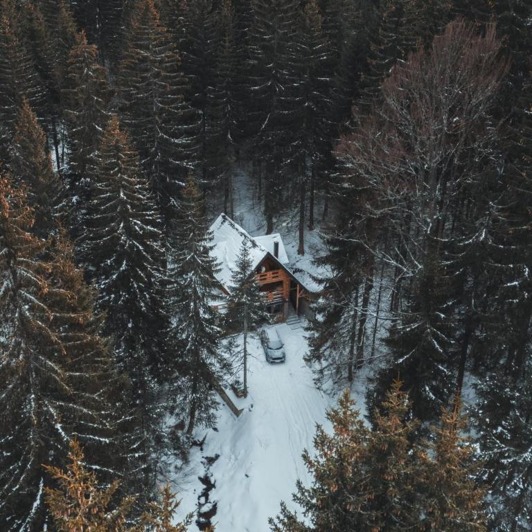 Casa Montana - Two-Bedroom Chalet - 42