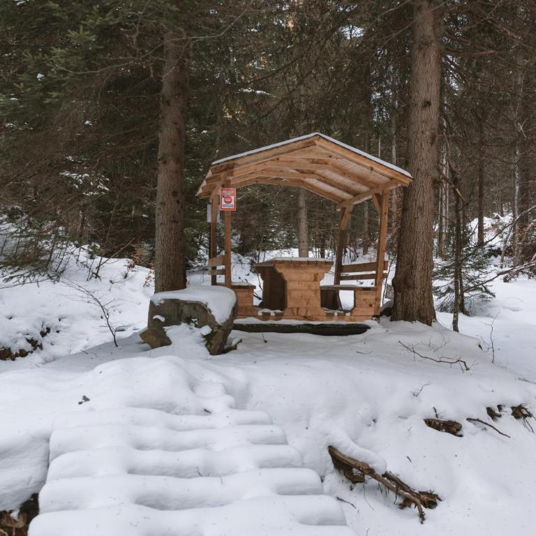 Casa Montana - Koliba sa 2 Spavaće Sobe - 45