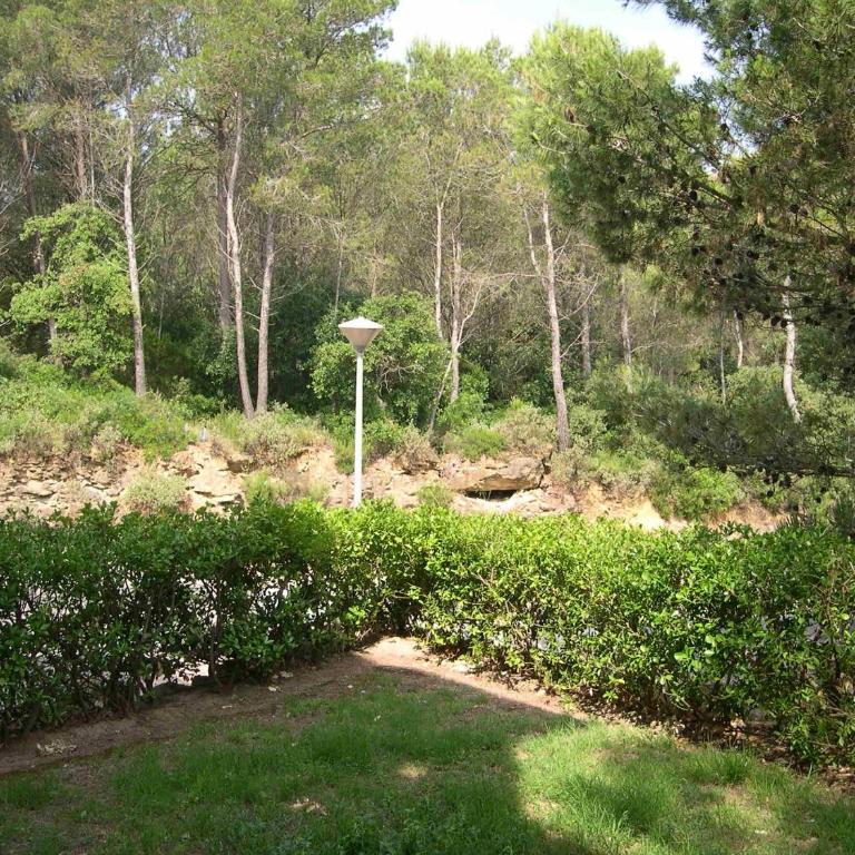 Apartaments Sa Guilla - Apartamento - Planta baja - 10