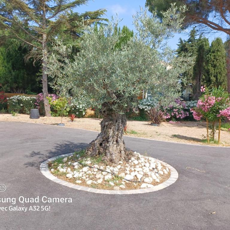Magnifique villa avec piscine 10x5 m sur 1800m2 de terrain avec parking privatif cuisine recente equpee 3 chambres dont 2 parental au rdc avec wc separe pas de vis à vis terrain de petanque bbq climatisation jeux enfants - Villa mit 3 Schlafzimmern - 18