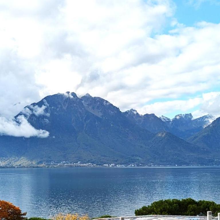 Montreux Central Boutique Apartment Lake View and Terrace - Apartment mit 2 Schlafzimmern - 1