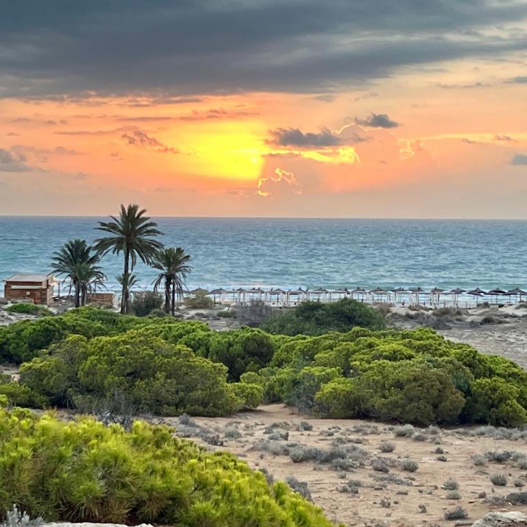 Townhouse med takterrass i Costa Hispania - Three-Bedroom Townhouse - 28