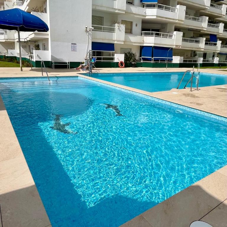 New flat with outdoor pools in Puerto de Estepona - ground floor - Apartment - Ground Floor - 16