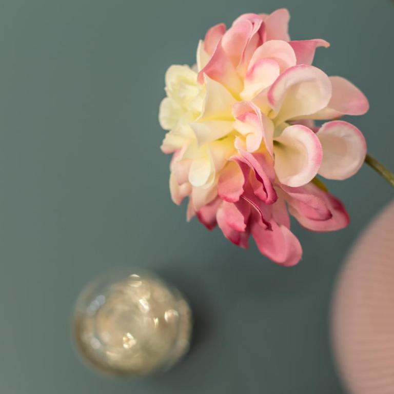 Alocasia Dream - Appartamento con 1 Camera da Letto - 37