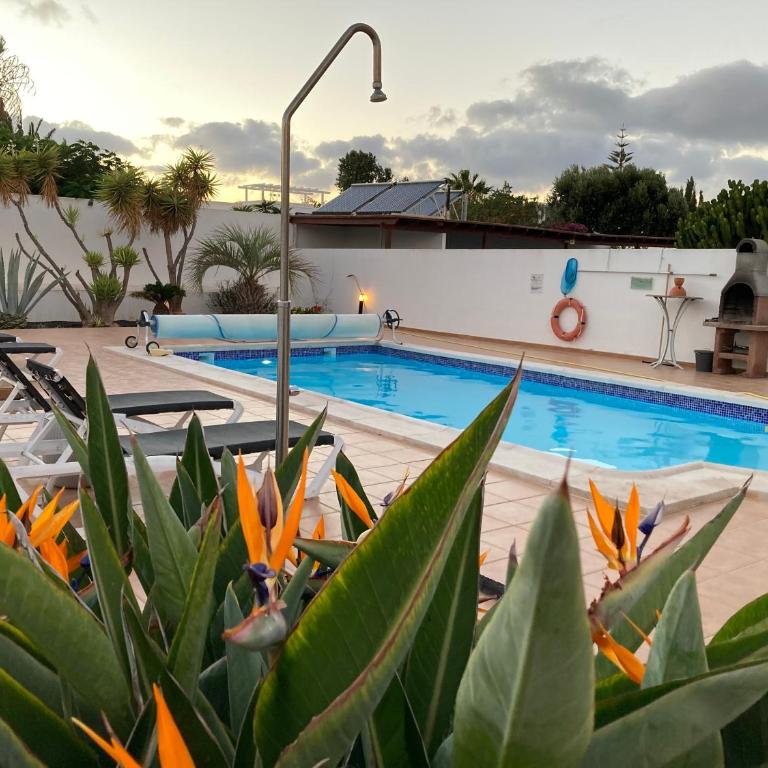 "Our Soleada" Villa cosy and flowery, heated pool - Villa - 5