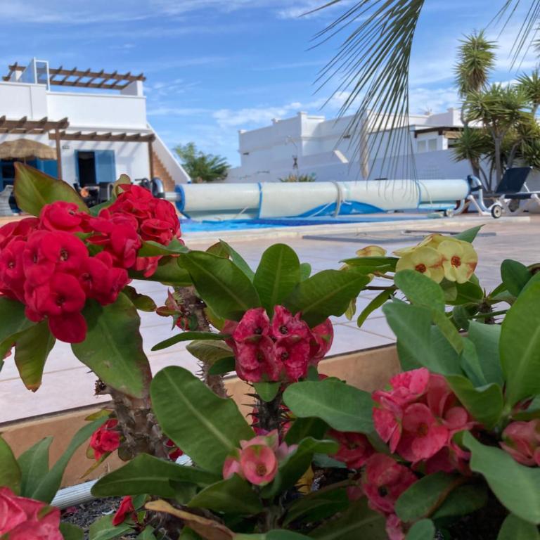 "Our Soleada" Villa cosy and flowery, heated pool - Villa - 7