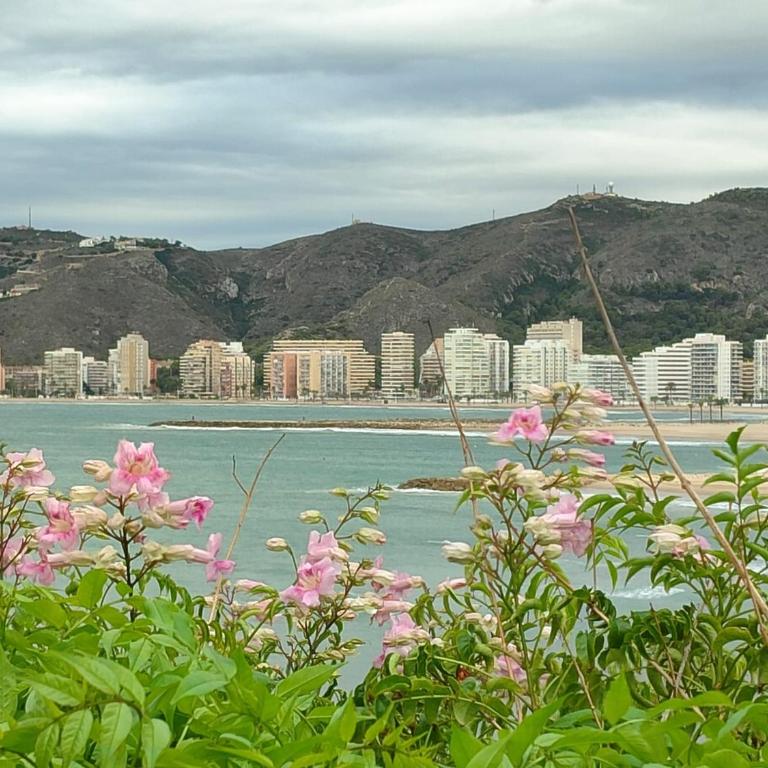 Seaviews Los Olivos - One-Bedroom Apartment - 22