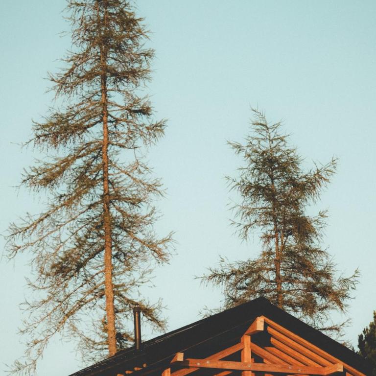 Refuge de Frience - Chalet - 13