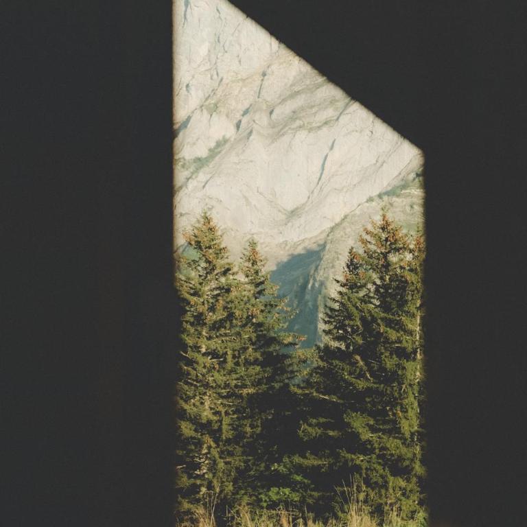 Refuge de Frience - Chalet - 13