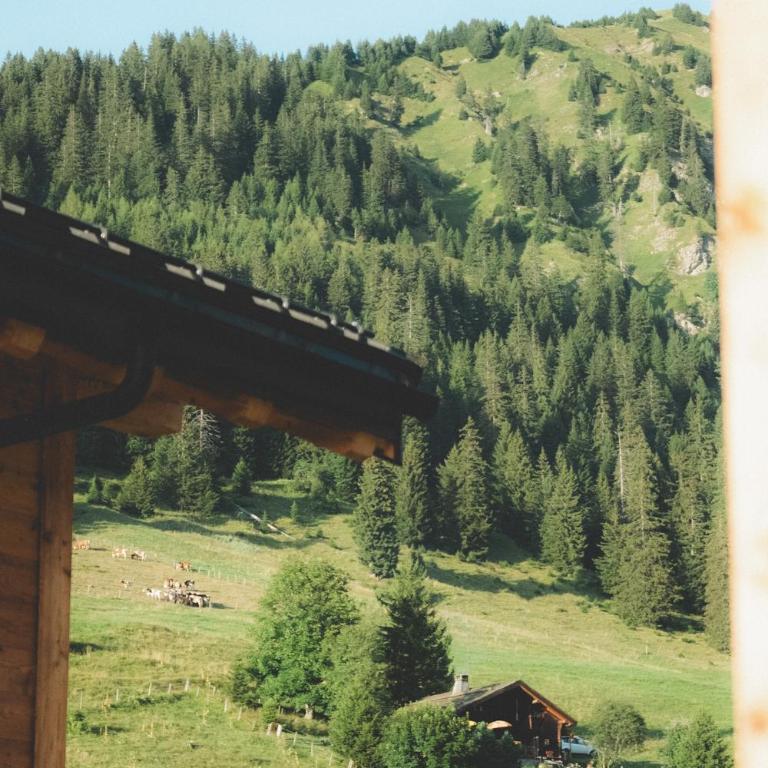 Refuge de Frience - Chalet - 14