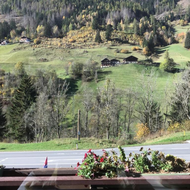 Guesthouse Mountain View - Doppelzimmer - 5