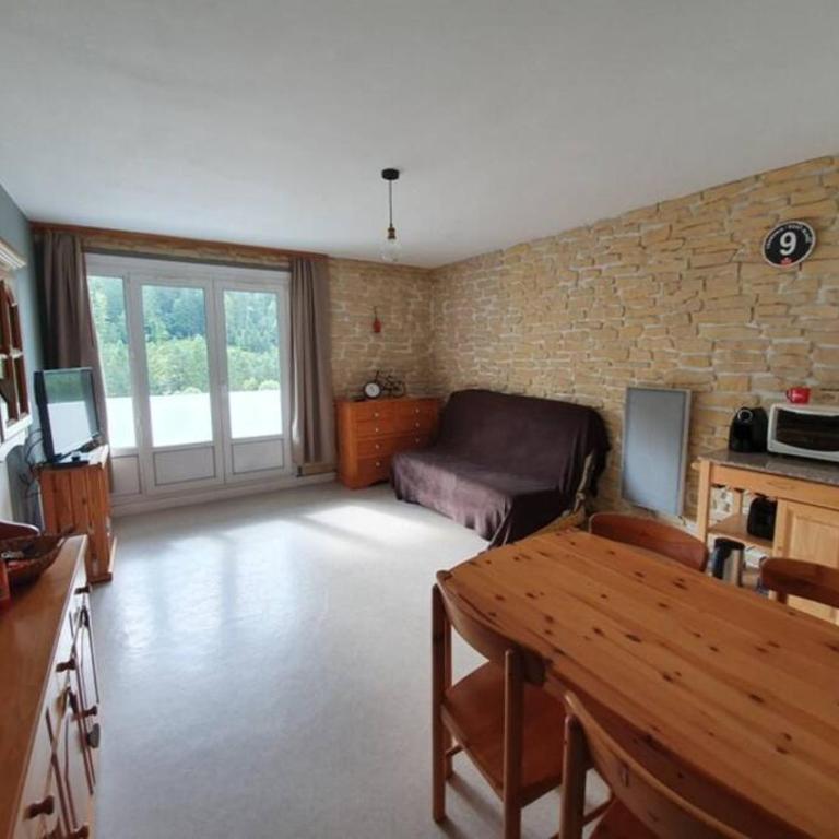 Le Balcon - La Bresse - Apartment mit 1 Schlafzimmer - 16