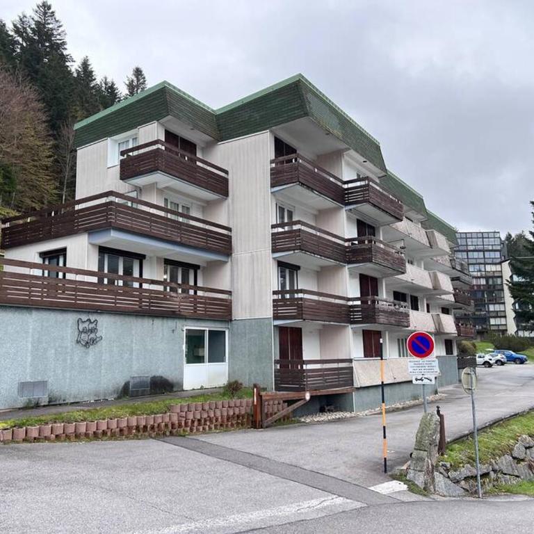 Le Balcon - La Bresse - Apartment mit 1 Schlafzimmer - 30