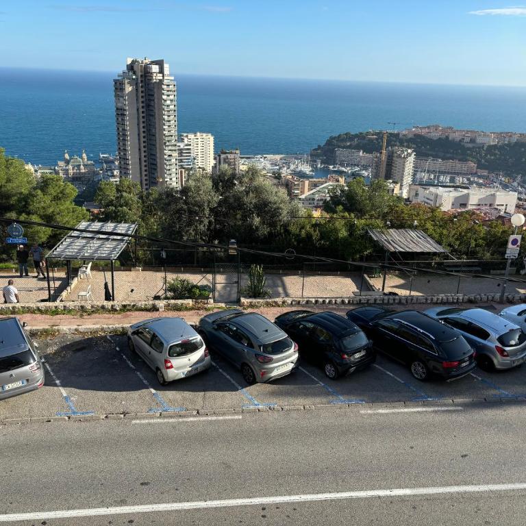 Vu la mer de Monaco - One-Bedroom Apartment - 15